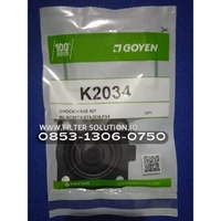 Goyen K2034 Diapharm Kit Original